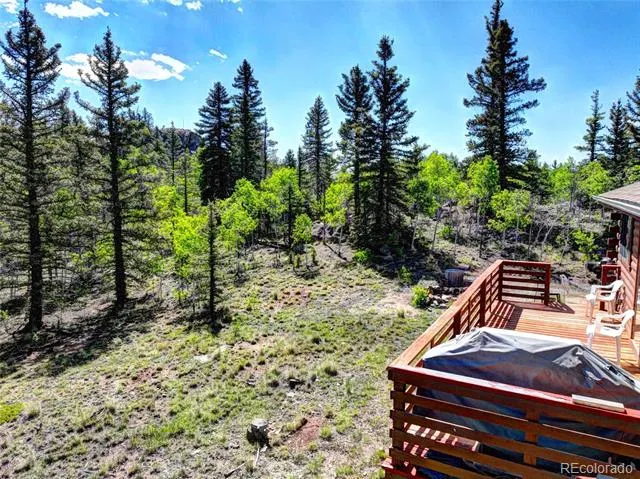 225 Deadwood Drive Jefferson, CO 80456
