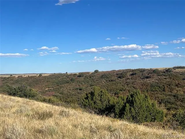 Overlook Drive Colorado City, CO 81019