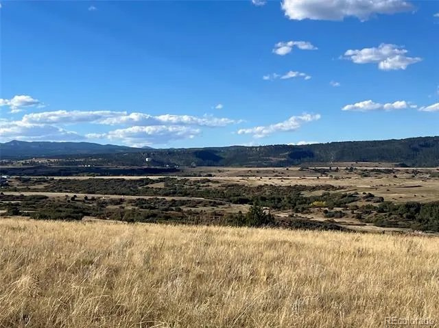Overlook Drive Colorado City, CO 81019
