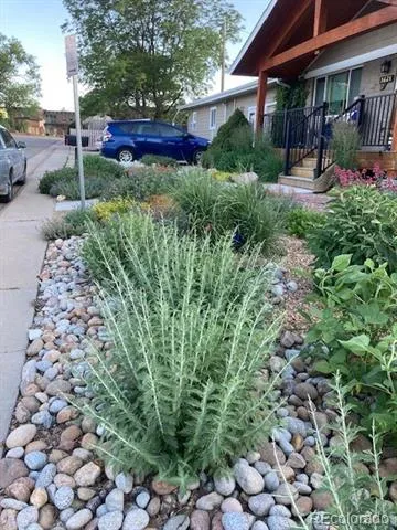 1621 Salvia Street Golden, CO 80226