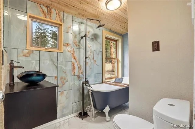 14032 S Olive Avenue Pine, CO 80470