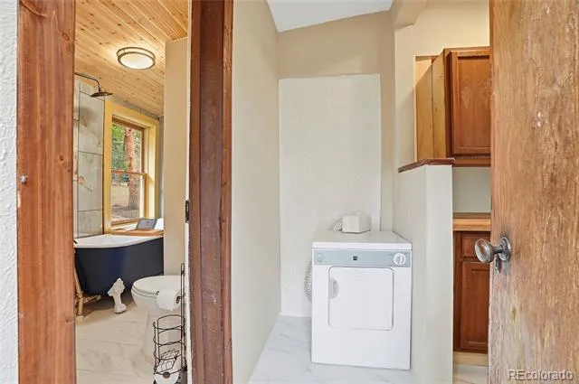 14032 S Olive Avenue Pine, CO 80470