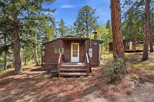 14032 S Olive Avenue Pine, CO 80470