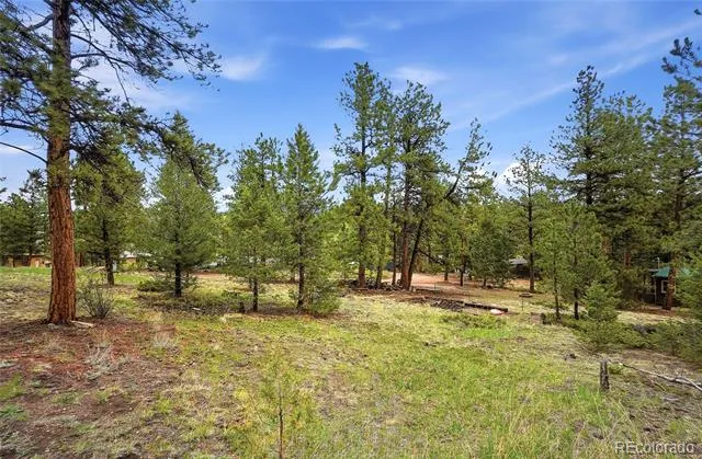 14032 S Olive Avenue Pine, CO 80470