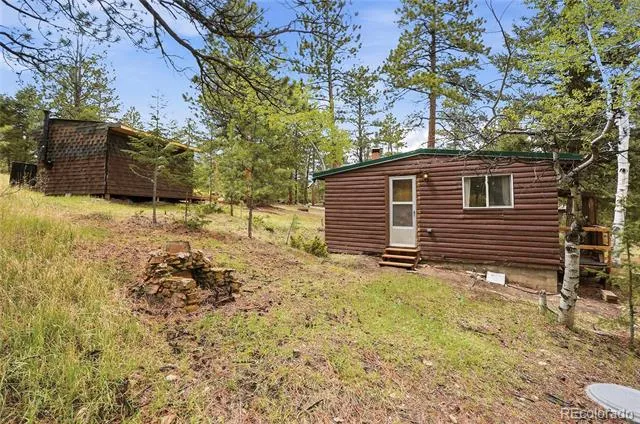 14032 S Olive Avenue Pine, CO 80470
