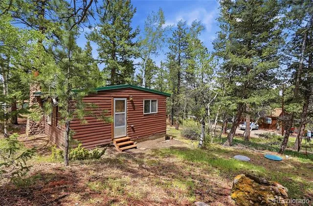14032 S Olive Avenue Pine, CO 80470