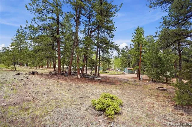 14032 S Olive Avenue Pine, CO 80470