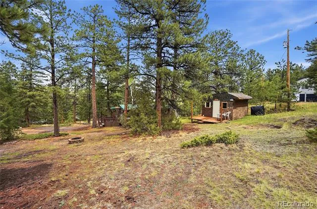 14032 S Olive Avenue Pine, CO 80470