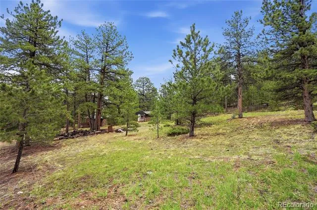14032 S Olive Avenue Pine, CO 80470