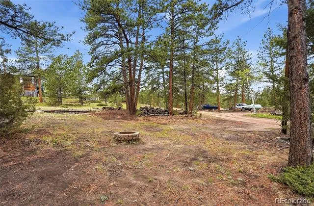 14032 S Olive Avenue Pine, CO 80470