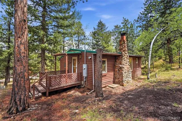 14032 S Olive Avenue Pine, CO 80470