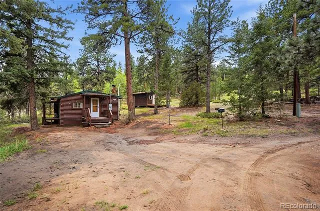 14032 S Olive Avenue Pine, CO 80470