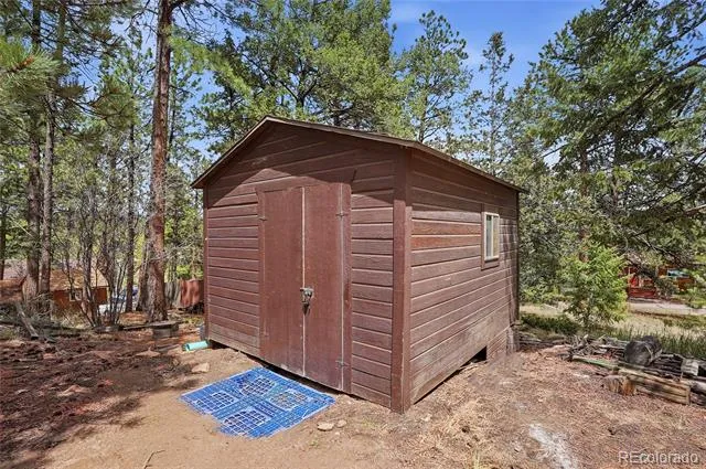 14032 S Olive Avenue Pine, CO 80470