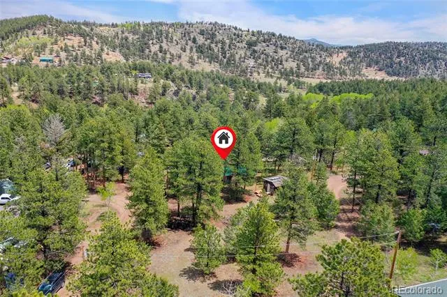 14032 S Olive Avenue Pine, CO 80470