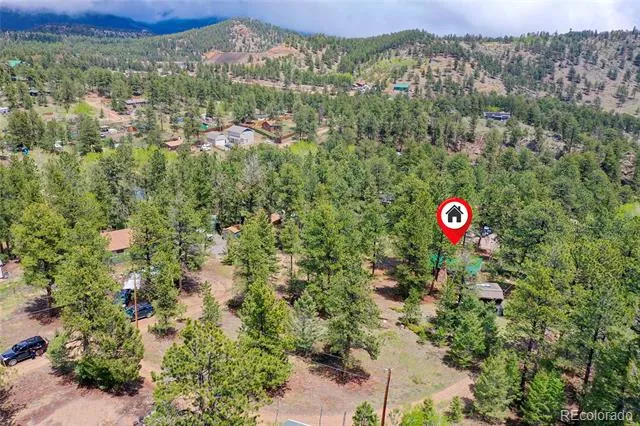 14032 S Olive Avenue Pine, CO 80470