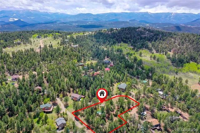 14032 S Olive Avenue Pine, CO 80470