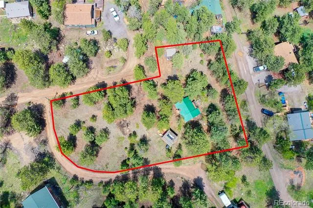 14032 S Olive Avenue Pine, CO 80470