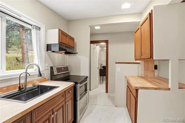 14032 S Olive Avenue Pine, CO 80470