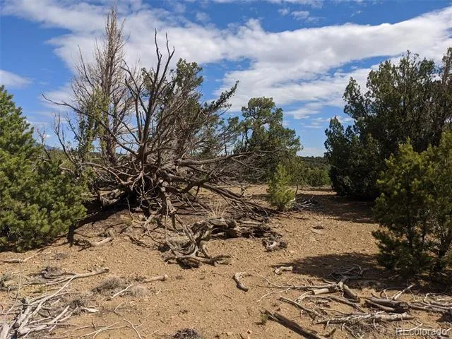 623 Cello Azui Drive Walsenburg, CO 81089
