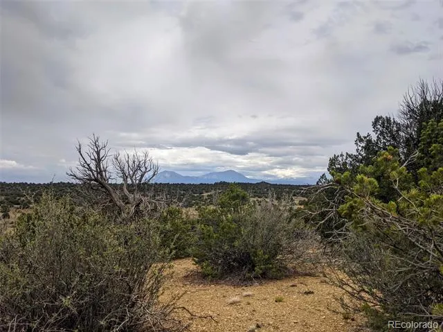 623 Cello Azui Drive Walsenburg, CO 81089