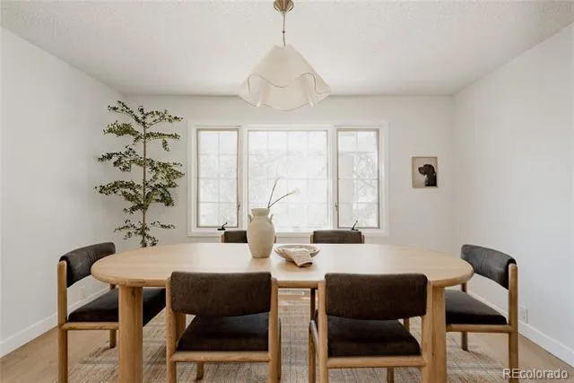 4675 S Yosemite Street #205 Denver, CO 80237