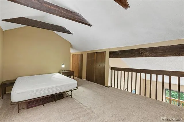 1901 Clear Creek Drive #B302 Georgetown, CO 80444