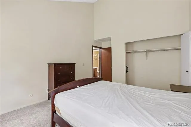 1901 Clear Creek Drive #B302 Georgetown, CO 80444