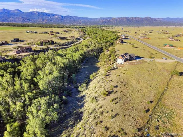 17550 Primrose Lane Buena Vista, CO 81211