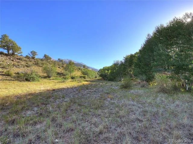 17550 Primrose Lane Buena Vista, CO 81211