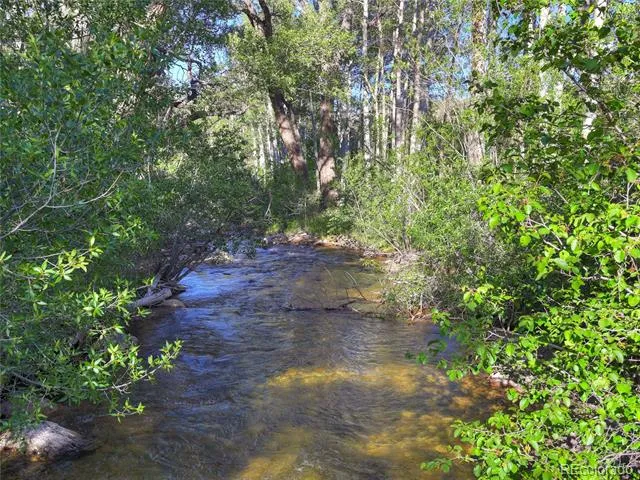 17550 Primrose Lane Buena Vista, CO 81211