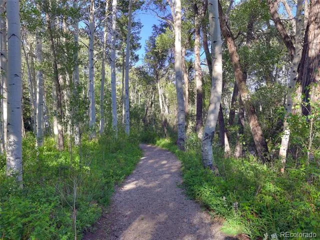 17550 Primrose Lane Buena Vista, CO 81211