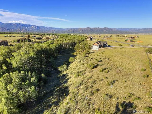 17550 Primrose Lane Buena Vista, CO 81211