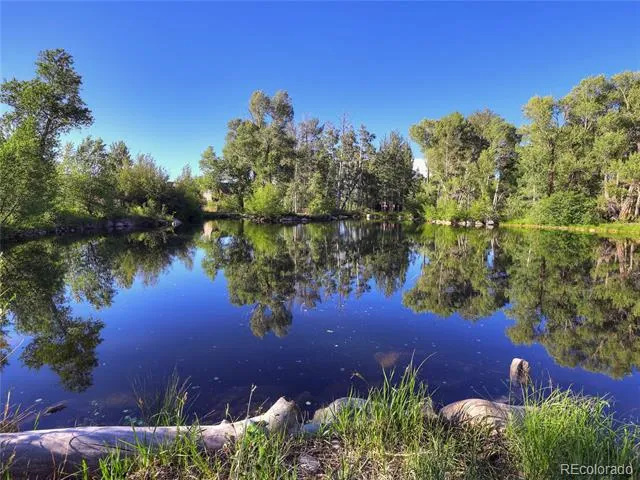 17550 Primrose Lane Buena Vista, CO 81211