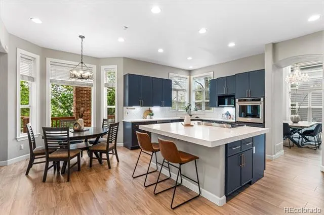 10069 Longview Drive Lone Tree, CO 80124