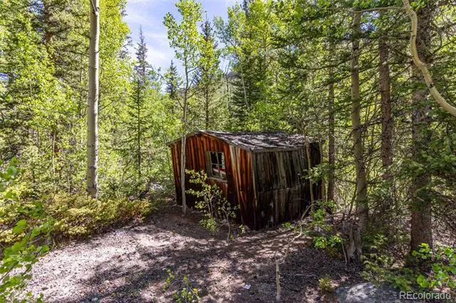 18990 Cr-294 Nathrop, CO 81236
