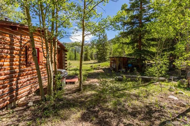 18990 Cr-294 Nathrop, CO 81236