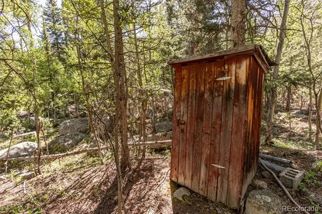 18990 Cr-294 Nathrop, CO 81236
