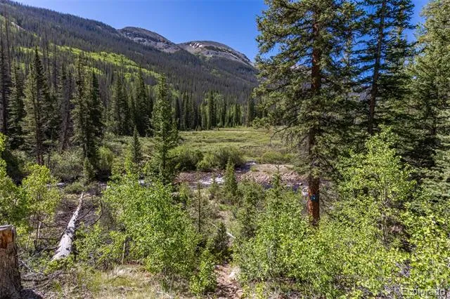 18990 Cr-294 Nathrop, CO 81236