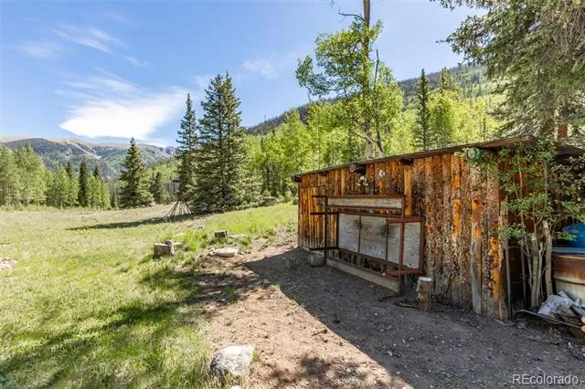 18990 Cr-294 Nathrop, CO 81236