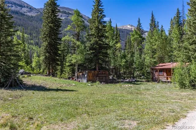 18990 Cr-294 Nathrop, CO 81236