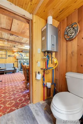 18990 Cr-294 Nathrop, CO 81236