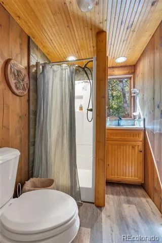 18990 Cr-294 Nathrop, CO 81236