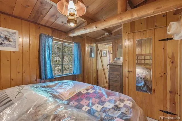 18990 Cr-294 Nathrop, CO 81236
