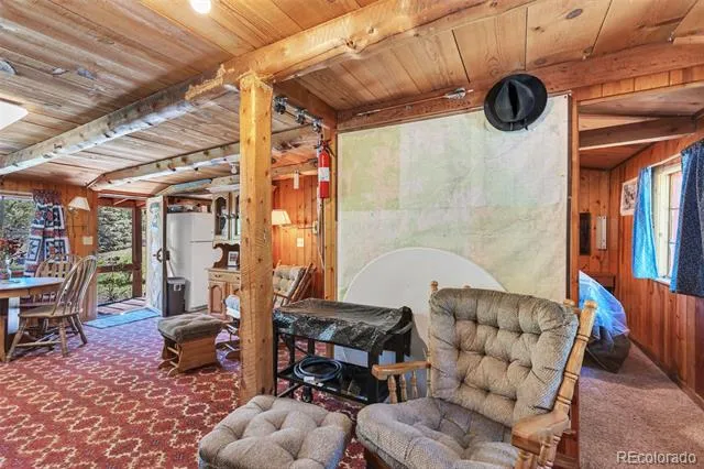 18990 Cr-294 Nathrop, CO 81236