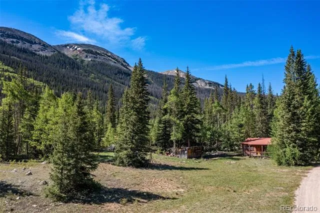 18990 Cr-294 Nathrop, CO 81236