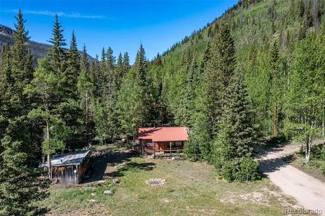 18990 Cr-294 Nathrop, CO 81236