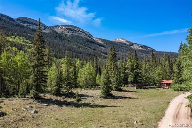 18990 Cr-294 Nathrop, CO 81236