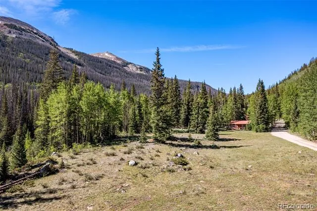 18990 Cr-294 Nathrop, CO 81236