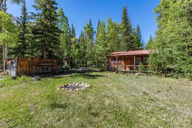 18990 Cr-294 Nathrop, CO 81236