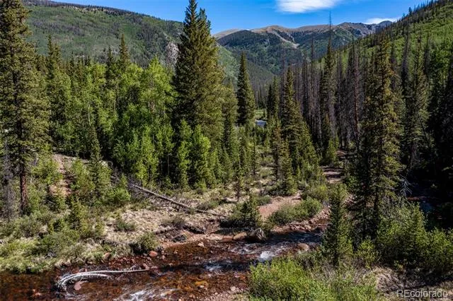 18990 Cr-294 Nathrop, CO 81236